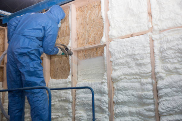 Best Basement Insulation in USA